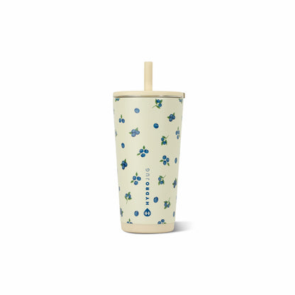 HYDROJUG Signature | HydroJug Everyday Tumbler 20oz - Ceramic-Lined Insulated Tumbler with Straw – Freshly Pick'd